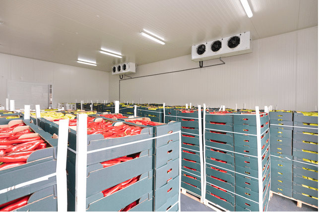 Kühlhaus Gemüse Warenmanagement
